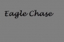 Eagle Chase