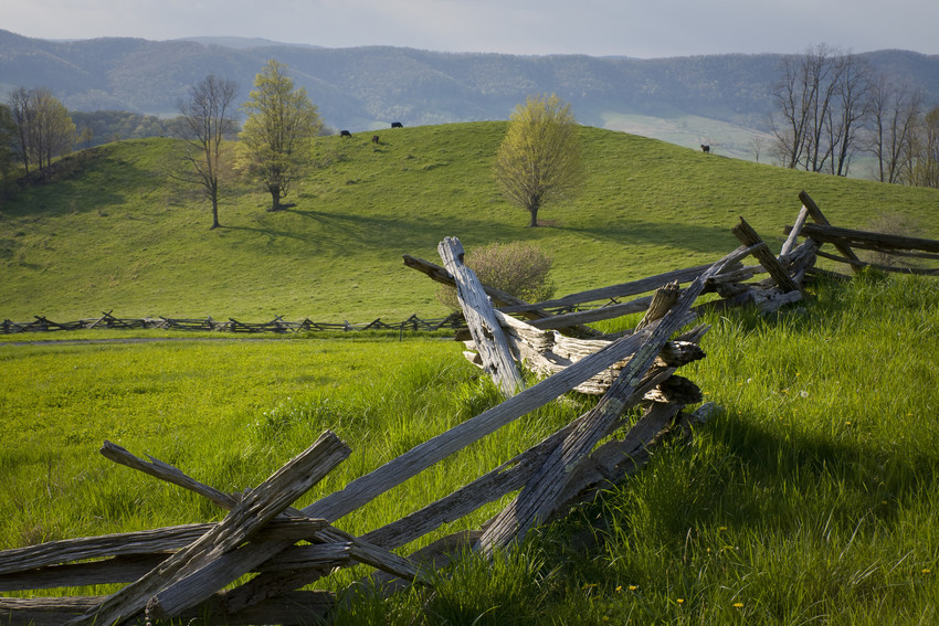 rich history of ranching