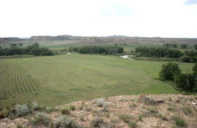 Top of N. Alfalfa Field
