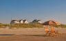 Cinnamon beach